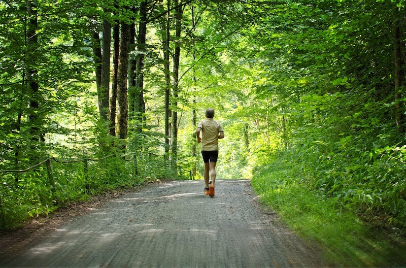 Ultramaratona bosco
