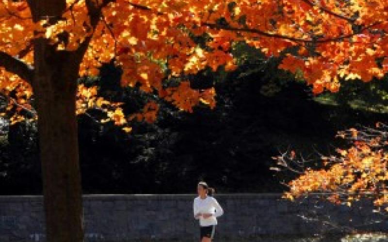 Sport, il parco batte la palestra. L'aria aperta allevia lo stress