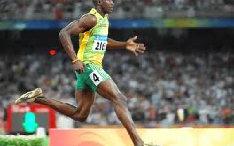 bolt