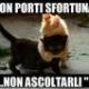Ritratto di Maurizio Palmieri