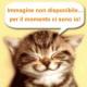 Ritratto di Dino Della Lama